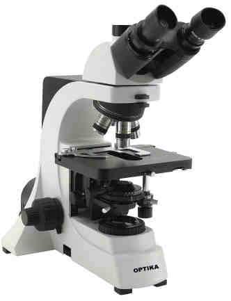 optikaB600